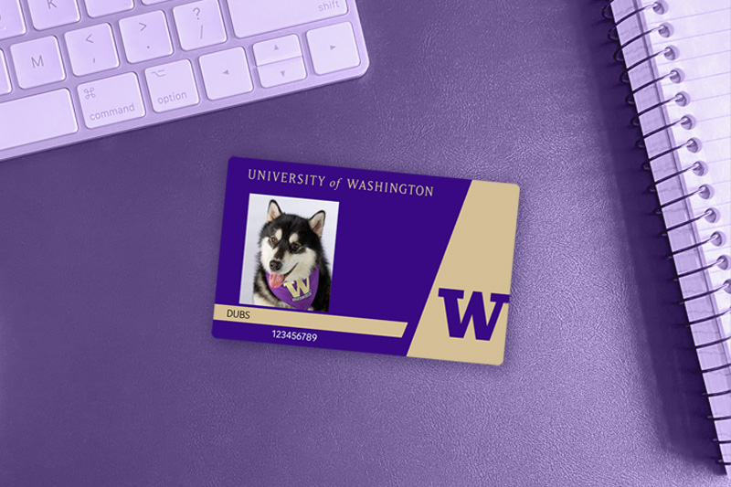 A UW student ID card of mascot "Dubs."